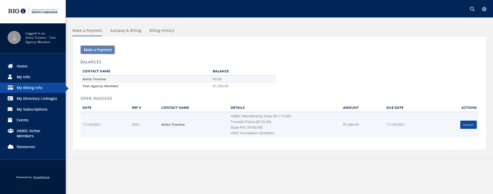 Screenshot of Open Invoice list in Member InfoHub